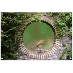 GARTENPOSTER Vogel - Durchblick - Rotkehlchen Gartendeko 90x60 cm