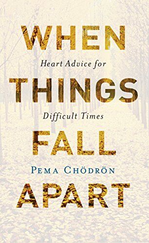 Pema Chödrön - When Things Fall Apart: Heart Advice for Difficult Times (20th Anniversary Edition) - Preis vom 06.10.2026 07:26:00 h