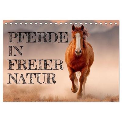 Pferde in freier Natur (Tischkalender 2027 DIN A5 quer), CALVENDO Monatskalender