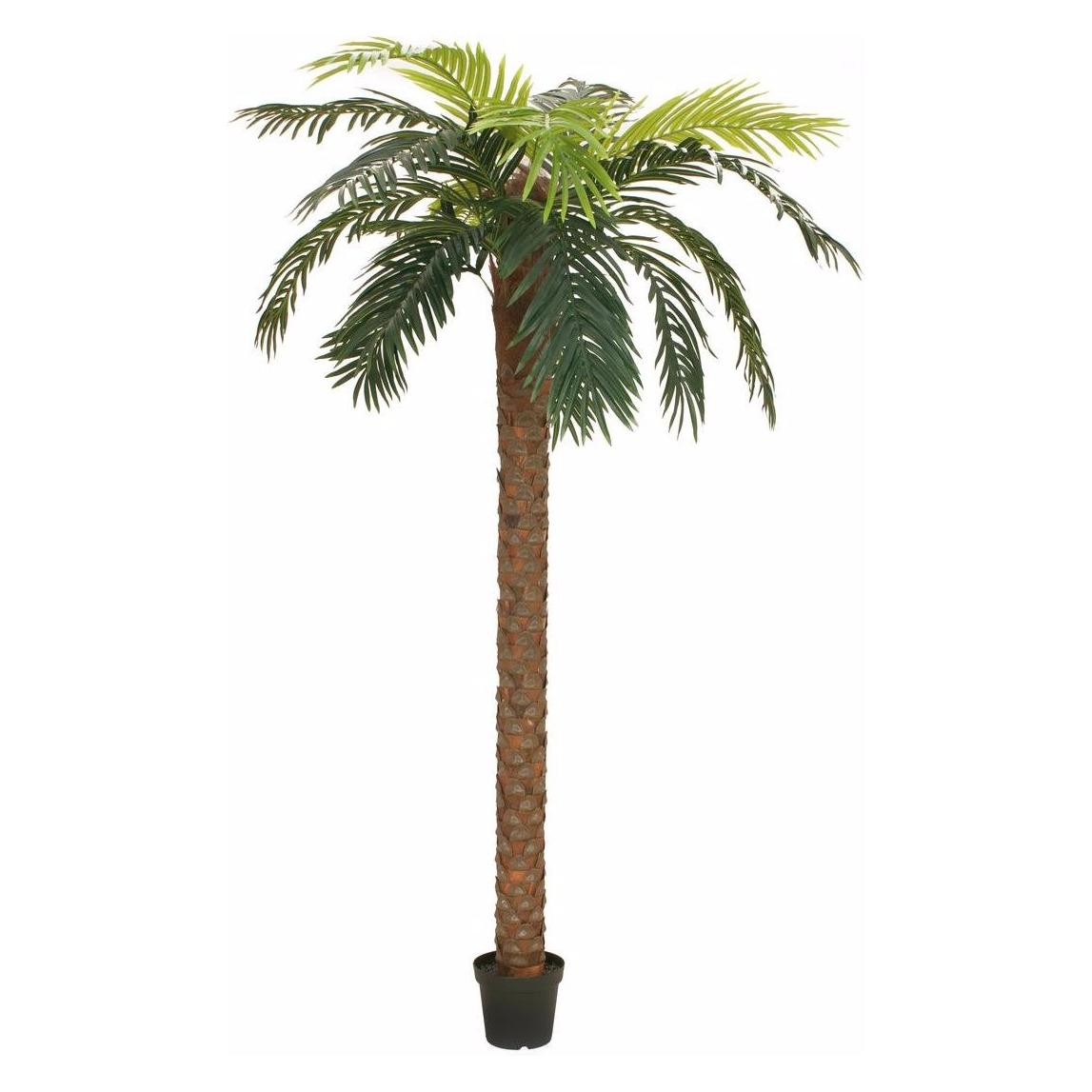 Europalms Phönix Palme deluxe (250 cm) (82509724)