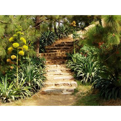 Fototapete PAPERMOON "Hill Garden", bunt, B:2m L:1,5m, Vlies, Tapeten