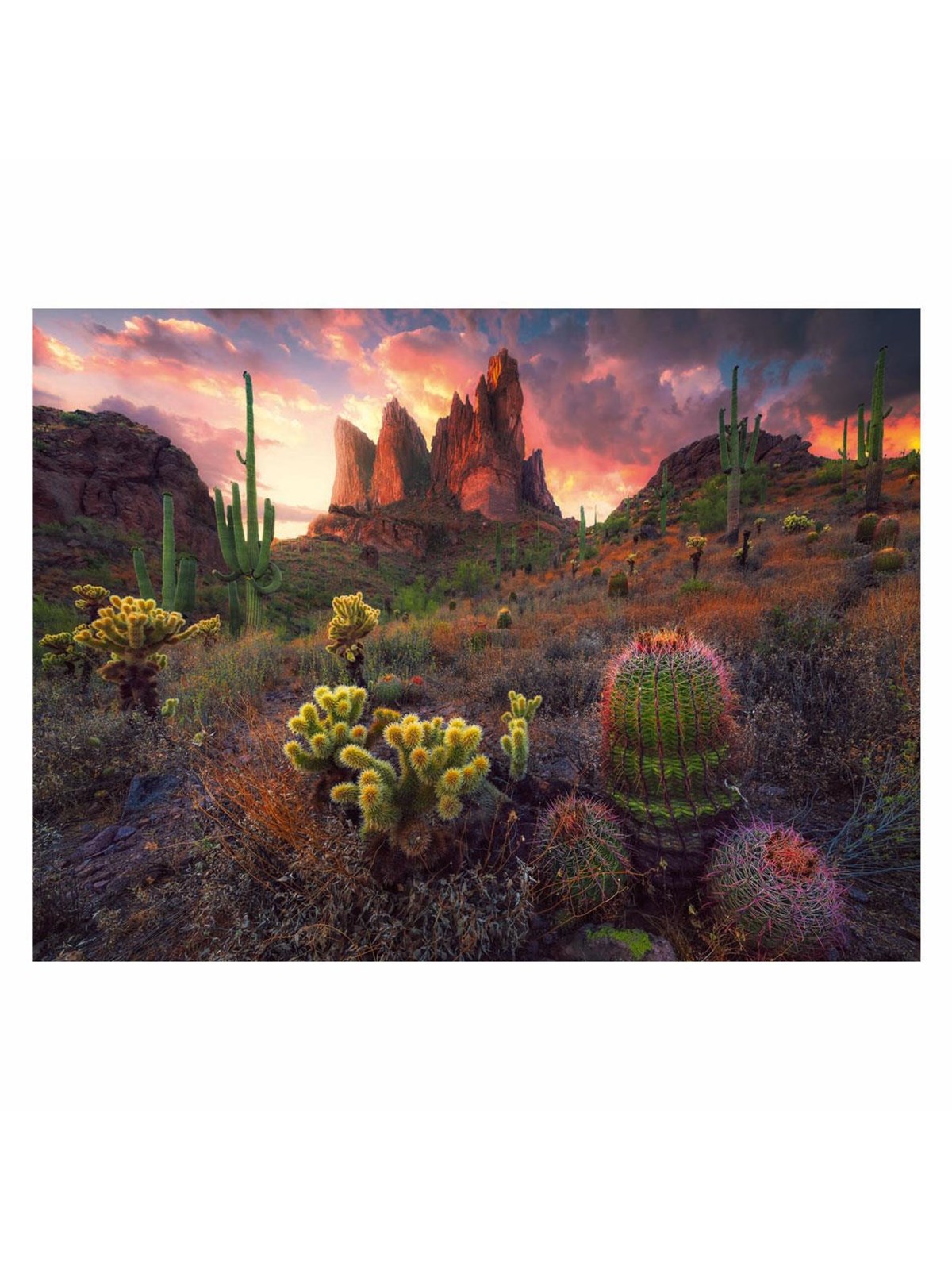 Ravensburger Jigsaw puzzle Cactus 500 pcs. 2D Puzzles