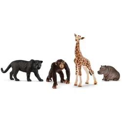 Schleich Wild Life Starter Set