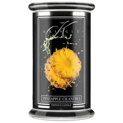 Pineapple Cilantro - Reserve Line 623g