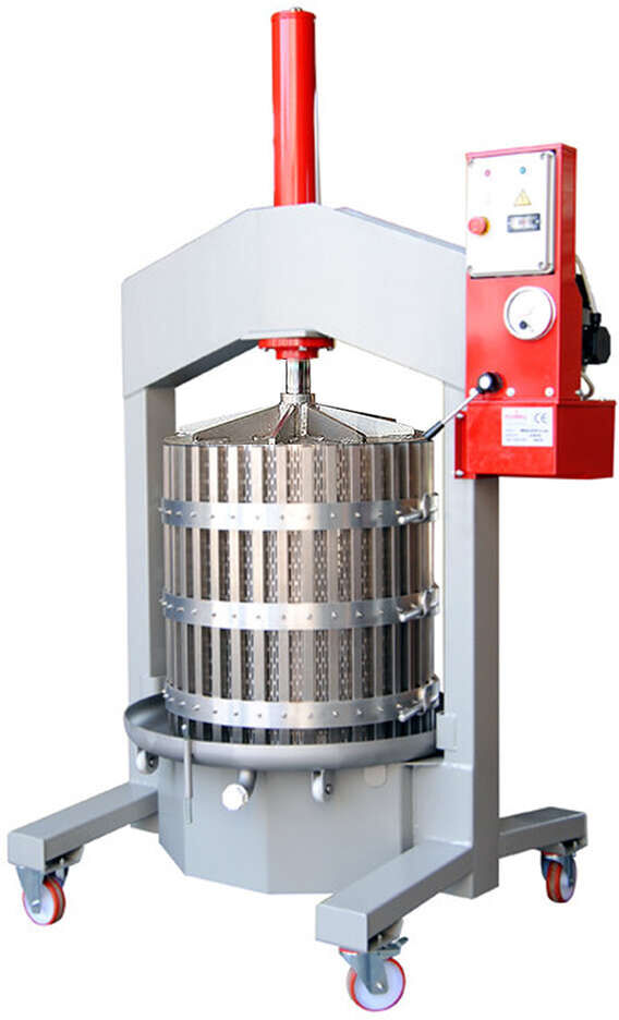 Polsinelli Pressa Verticale Alfa 60 Inox con Gabbia Estraibile