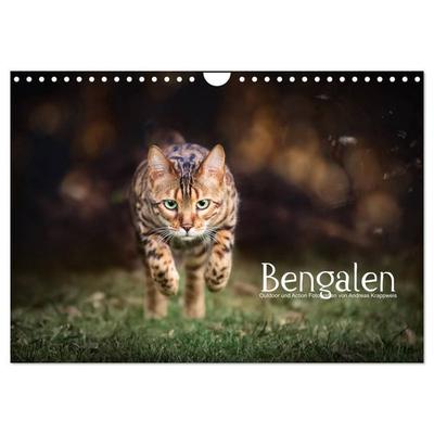 Bengalen Outdoor und Action (Wandkalender 2027 DIN A4 quer), CALVENDO Monatskalender