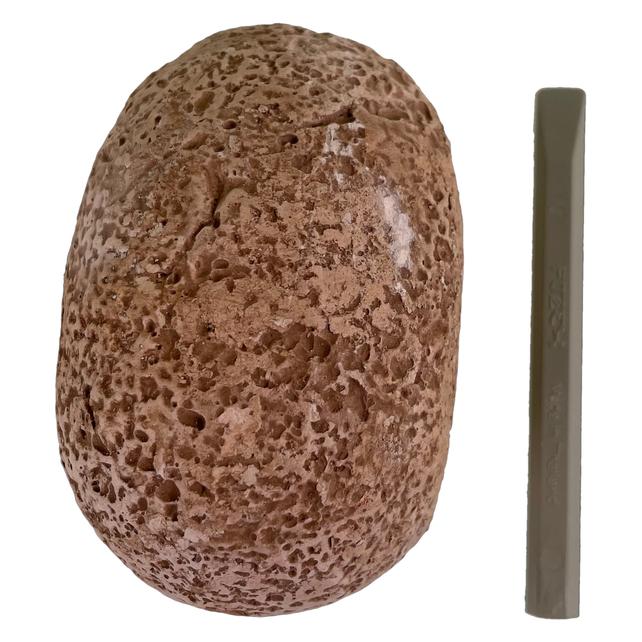 Kosmos Fossil Dino-Eier (601508)