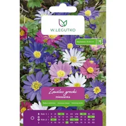 Griechische Anemone, Mischung, 8 Stück