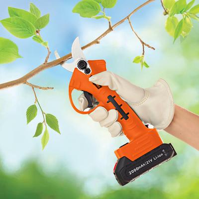 Akku-Baumschere Gainsborough