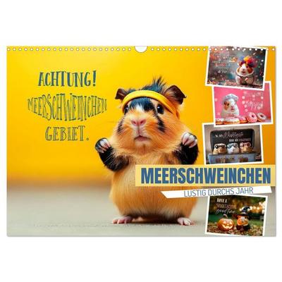 Meerschweinchen LUSTIG DURCHS JAHR (Wandkalender 2027 DIN A3 quer), CALVENDO Monatskalender