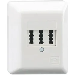 Rutenbeck Anschlußdose TAE 3x6NFN Ap rw