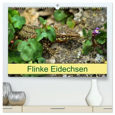 Flinke Eidechsen (hochwertiger Premium Wandkalender 2027 DIN A2 quer), Kunstdruck in Hochglanz