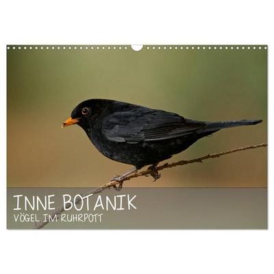 INNE BOTANIK - Vögel im Ruhrpott (Wandkalender 2027 DIN A3 quer), CALVENDO Monatskalender