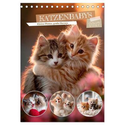 Katzenbabys - Kleine Pfoten, große Herzen (Tischkalender 2027 DIN A5 hoch), CALVENDO Monatskalender