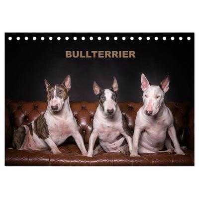 Bullterrier (Tischkalender 2026 DIN A5 quer), CALVENDO Monatskalender
