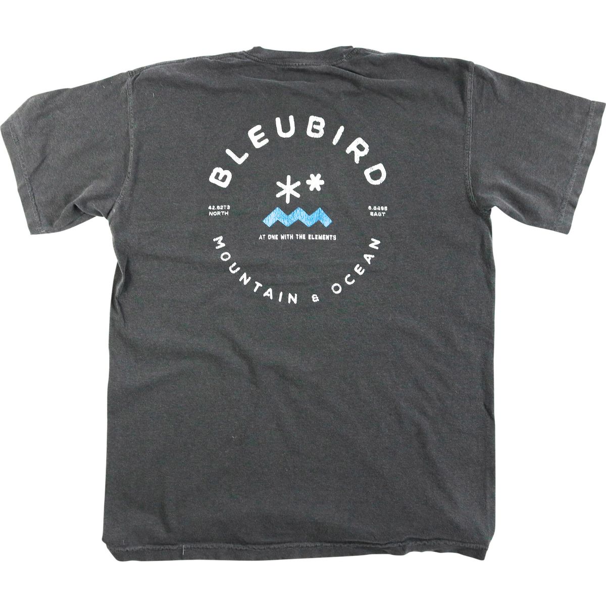 Bleubird Charcoal Original Tee charcoal Small AD20-CHAR-ORIG-TEE-S