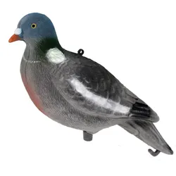 Beflockter Lockvogel Taube
