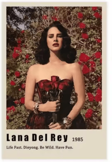 Inspire Picks Lana Del Rey Aesthetic Poster Album Cover Canvas Wall Art 15 50x70cm No Frame