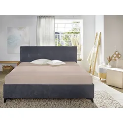 Spannbettlaken FAMILY kiesel (BT 240x220 cm) - grau - BT 240x220 cm