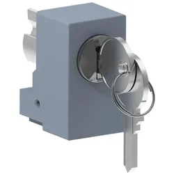 Schneider Electric NSYIN2452E1 PanelSeT SF/SM-Schloss mit Schlüssel, 2452E