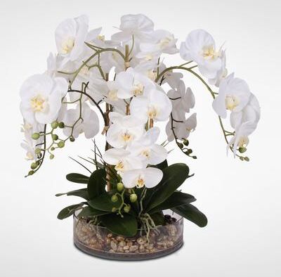 Jenny Silks White Real Touch Phalaenopsis Orchid