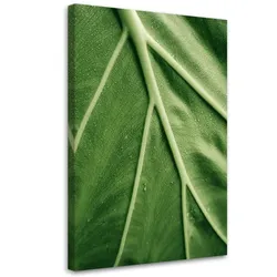 WANDBILD tautropfen auf dem blatt im makro