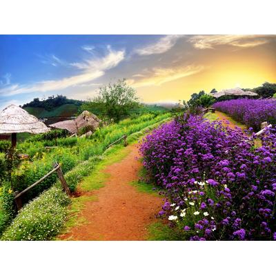 Fototapete PAPERMOON "BUNTE BLUMEN-THAILAND PFLANZE DEKOR NATUR BLÜTE MUSTER", bunt, B:4m L:2,6m, Vlies, Tapeten