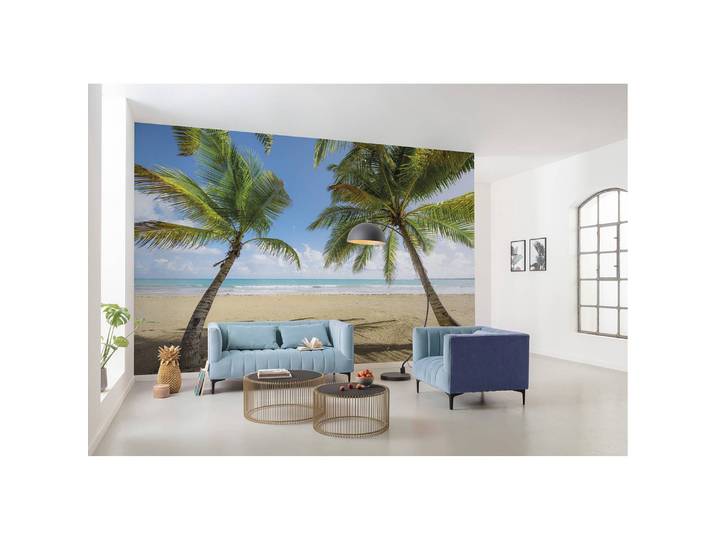 Papier peint intissé Caribbean Days II 450 x 280cm