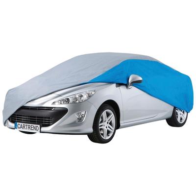 Autoplane CARTREND, grau (grau, blau), B:18,8cm H:14,8cm L:48,3cm, Polyethylen (PE), Planen
