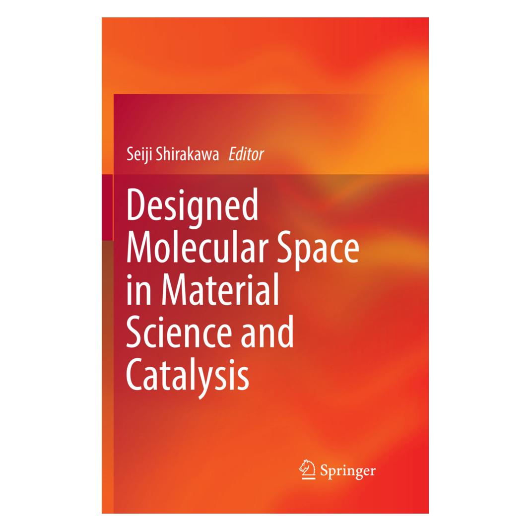 Springer Designed Molecular Space in Material Science and Catalysis (Englisch, Softcover, Seiji Shirakawa) (56103765)