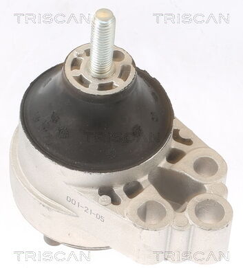 Triscan Lagerung, Motor 8505 16120 Für Ford