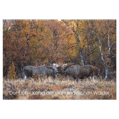 Der Elch - König der skandinavischen Wälder (Wandkalender 2027 DIN A2 quer), CALVENDO Monatskalender