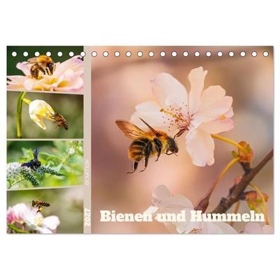 Bienen und Hummeln in Aktion (Tischkalender 2027 DIN A5 quer), CALVENDO Monatskalender