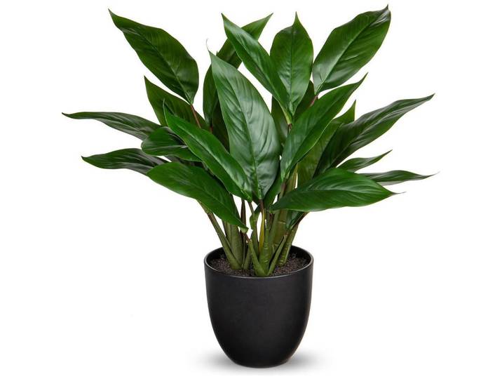 Kunstpflanze Calathea Buschig mit 22 Blättern 43 cm Grün, Kunststoff, 10 cm, Dekoration, Blumen & Blumentöpfe, Kunstpflanzen