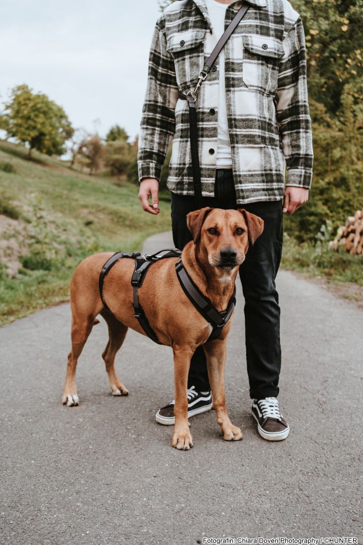 DOG SPORT HUNTER Sicherheitsgeschirr Maldon M-L, schwarz/grau
