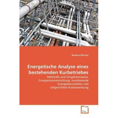 Bilinsky, B: Energetische Analyse eines bestehenden Kurbetri, Taschenbuch von Barbara Bilinsky, VDM, 978-3-639-35910-7