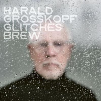 Glitches Brew - Harald Grosskopf, Vinyl