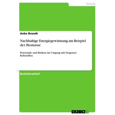 Nachhaltige Energiegewinnung am Beispiel der Biomasse, Taschenbuch von Anke Brandt, GRIN, 978-3-656-43338-5