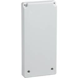 Schneider Electric 13143 Schneider Electric Gehäuseplatte für Auslass 13143 Platte Polymer Lichtgrau (RAL 7035) 1 St.