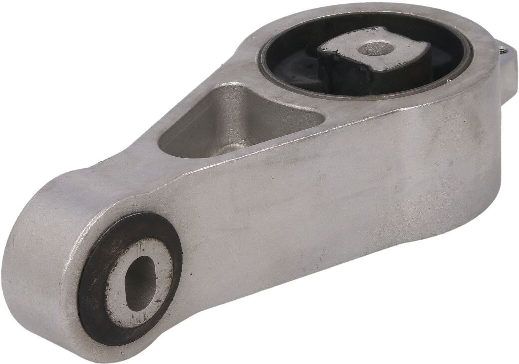 Reinhoch Supporto motore RH11-6040