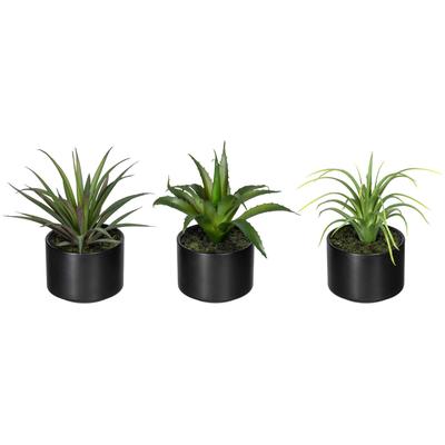 Künstliche Zimmerpflanze CREATIV GREEN "Set aus Aloe, Agave und Tillandsie", grün, H:15cm, Kunststoff, Kunstpflanzen, Künstliche Zimmerpflanze, im Keramiktopf, 3er Set