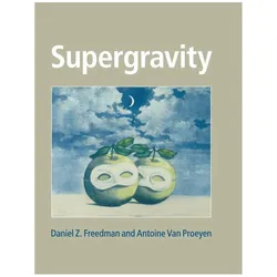 Supergravity, Fachbücher