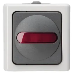 Kopp 561656007 Kontrollschalter AP-FR beleuchtet SF10AX 250V IP44 Blueelectric grau