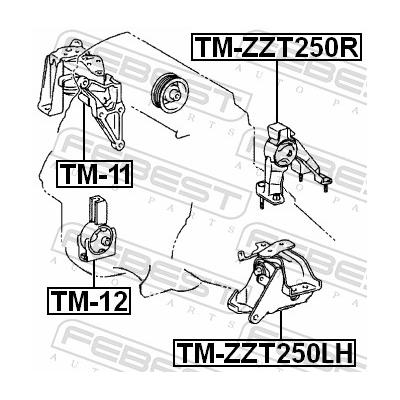 FEBEST Lagerung, Motor tmzzt250r hinten für TOYOTA