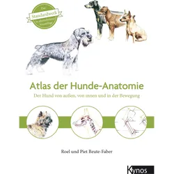 Atlas der Hundeanatomie, Ratgeber von Roel & Piet Beute-Faber