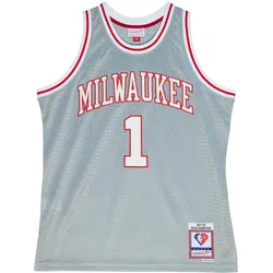 Mitchell & Ness, Unisex, Sportshirt, trikot milwaukee buck ocar roberton 75th nba (S), Grün, Mehrfarbig, Weiss, Silber, S