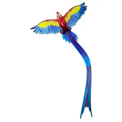 Eolo 3D-Pop-up-Lenkdrachen – Papagei