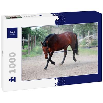 Lais Puzzle Pferd 1000 Teile