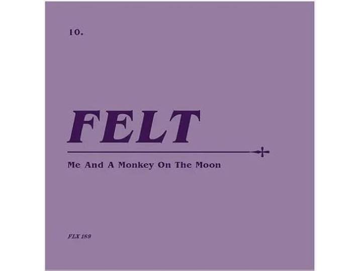 Me and a Monkey On the Moon