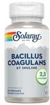 Solaray Bacillus Coagulans et Inuline 2,5 Milliards 60 Capsules - Boîte 60 capsules